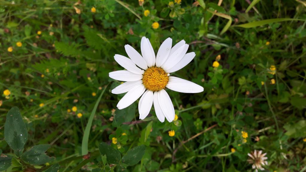 Ferienwohnung Lennefer Piding Dış mekan fotoğraf